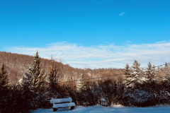 96d027c3-6735-4abd-8569-5600b44e404c